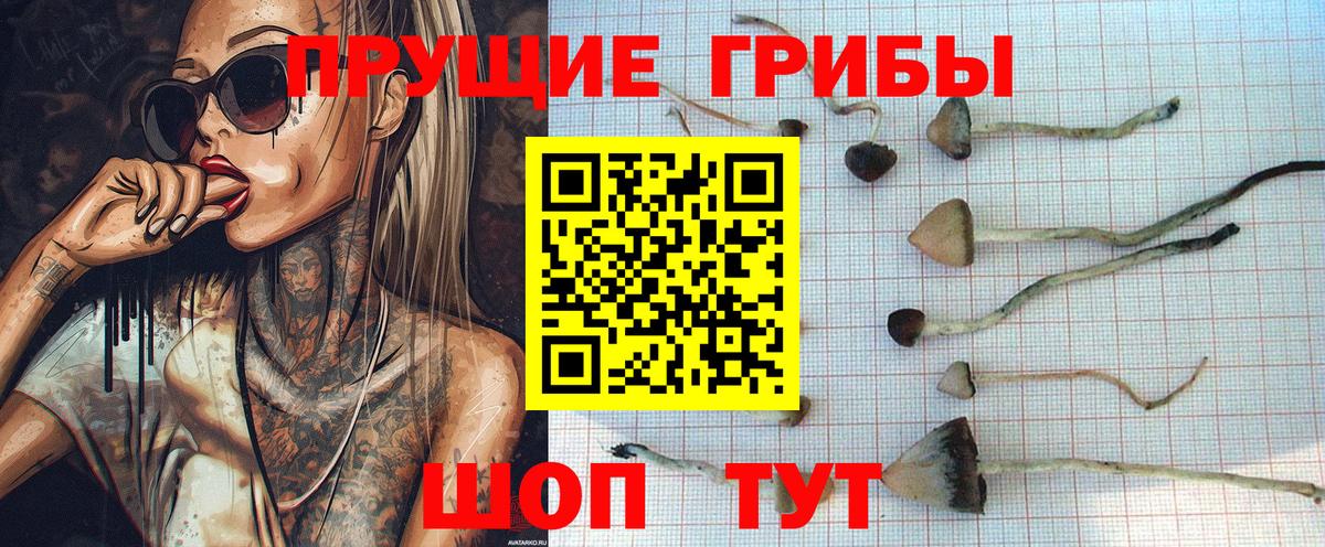 Псилоцибиновые грибы Magic Shrooms Чехов