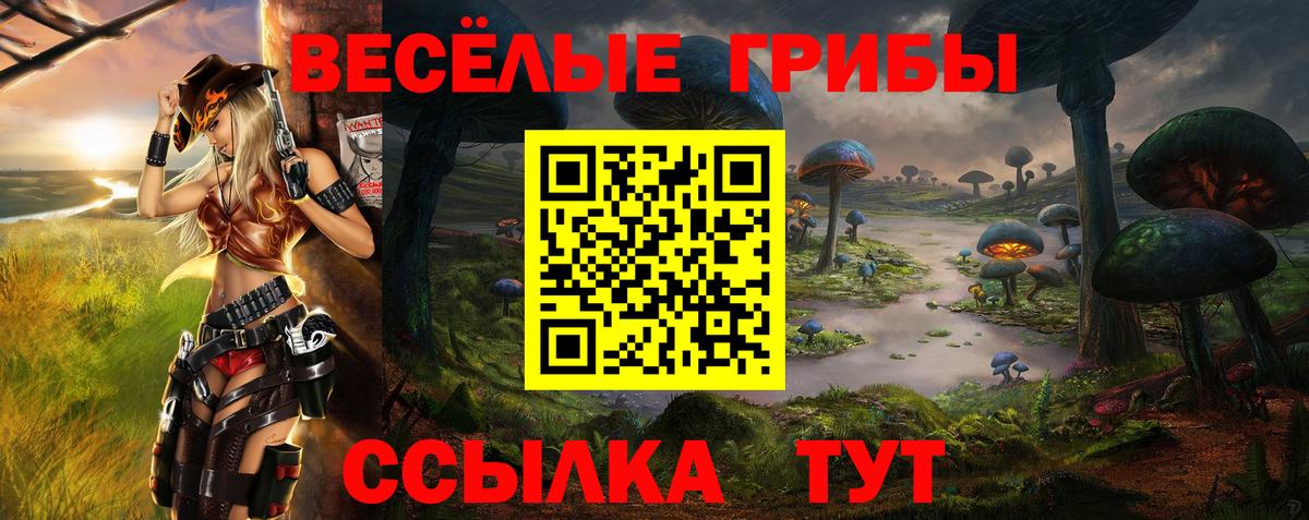 Псилоцибиновые грибы мухоморы  наркота  Чехов  Псилоцибиновые грибы Psilocybe  Вход с VPN 